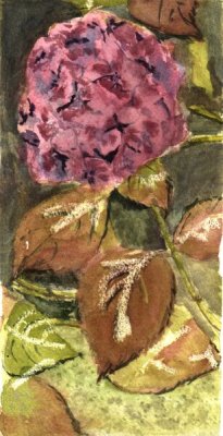 Hydrangea Flower, Watercolour