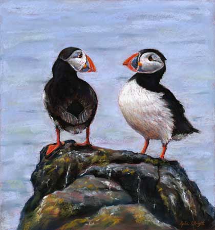 Puffin Duo, Pastel on Panel