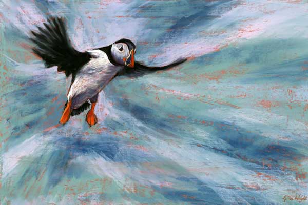 Puffin Landing, Pastel