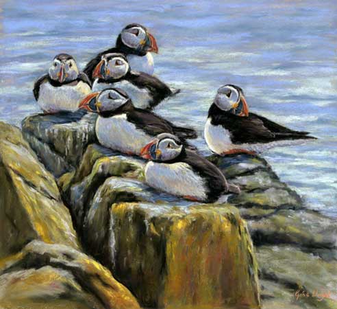 Six Puffins