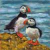 A pair of puffins on lichen covered rocks