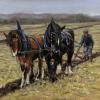 The Ploughing