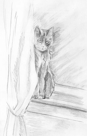 Xena, The Artist's Cat, Pencil Sketch